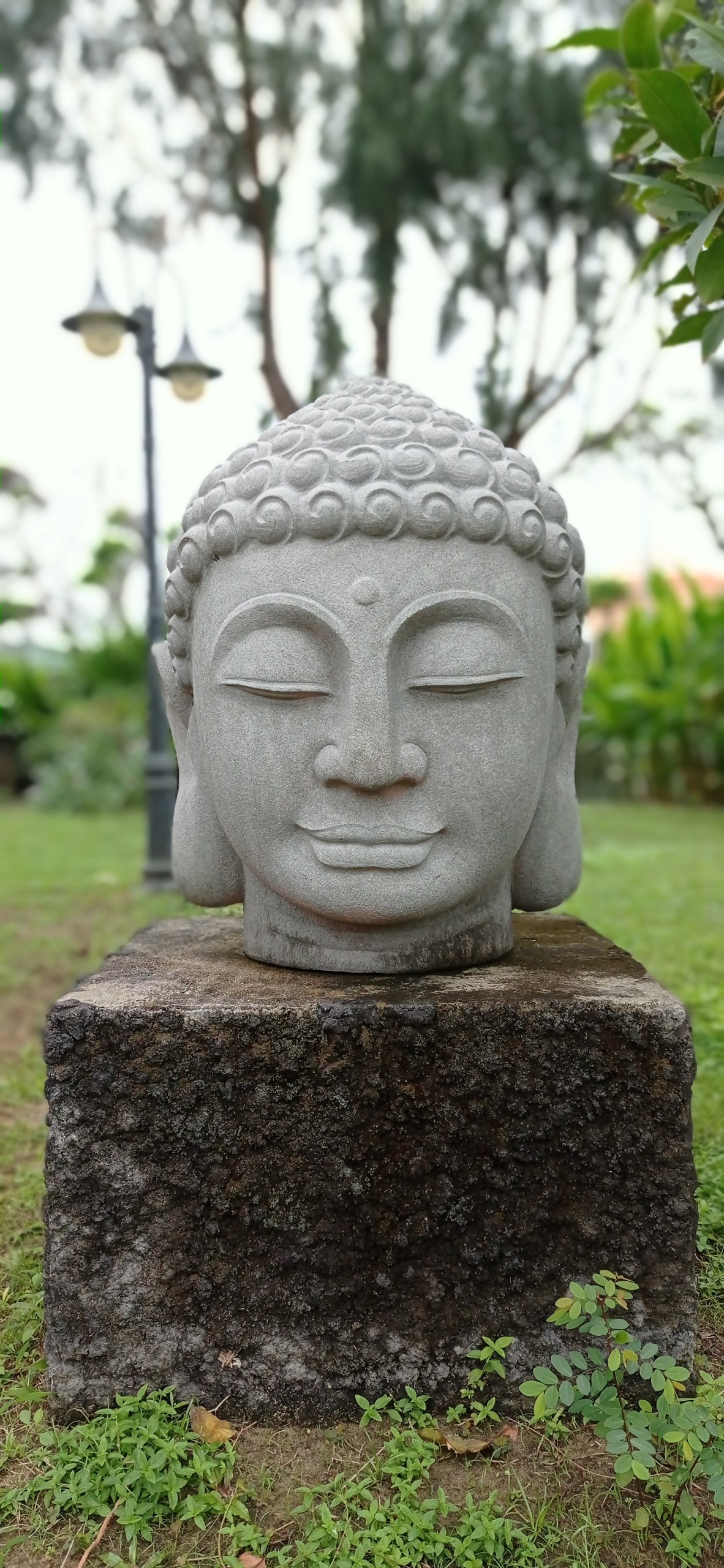 Buddha 1 (4)